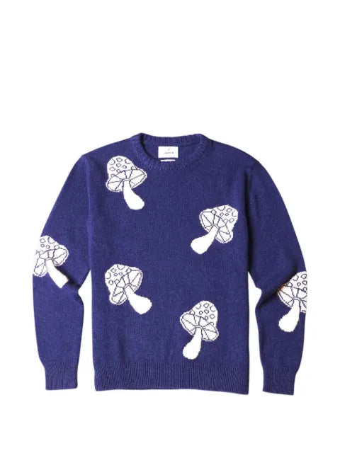 HARDEN mushroom-motif jumper
