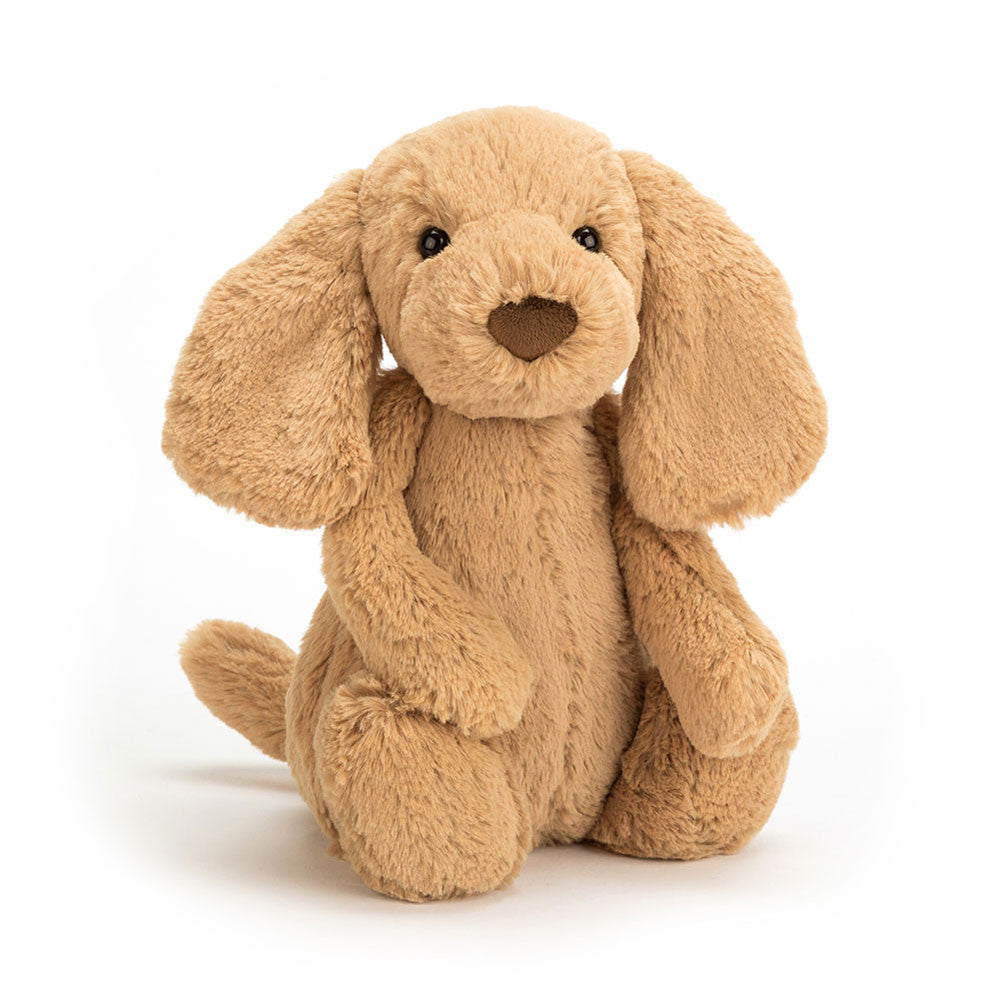 If I Were a Dog Board Book & Bashful Toffee Puppy Medium